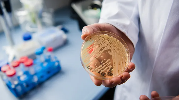 Alerta de Salud Urgente: Mortal ‘Superhongo’ se Propaga por EE.UU., Representando una Grave Amenaza para Pacientes Vulnerables